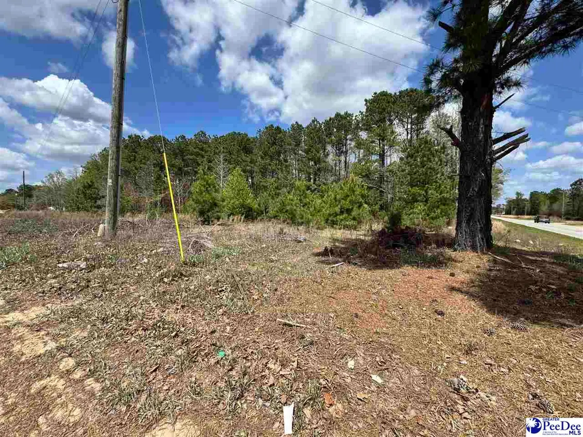 1549 Lester Rd., Dillon, SC 29536 - #1