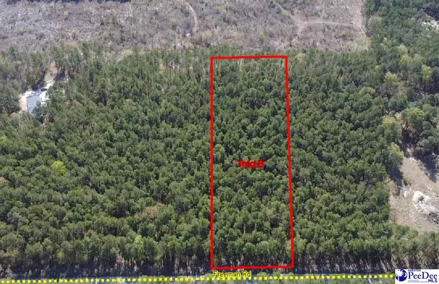 TBD Freeman Rd (lot B), Bethune, SC 29009-0000 - #2