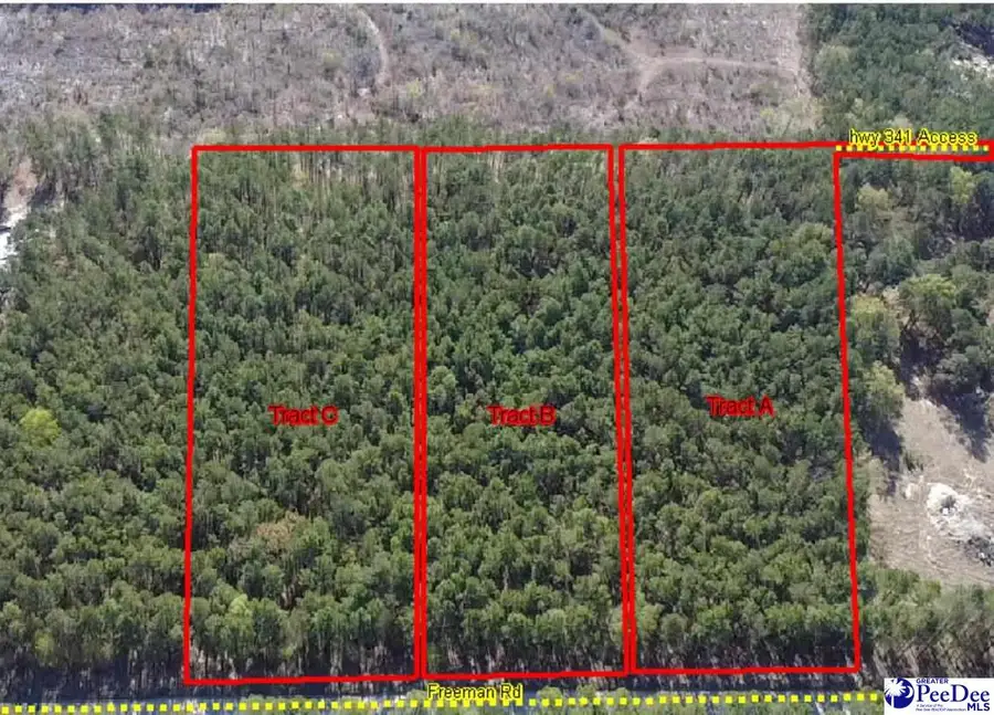 TBD Freeman Rd (lot B), Bethune, SC 29009-0000 - #3