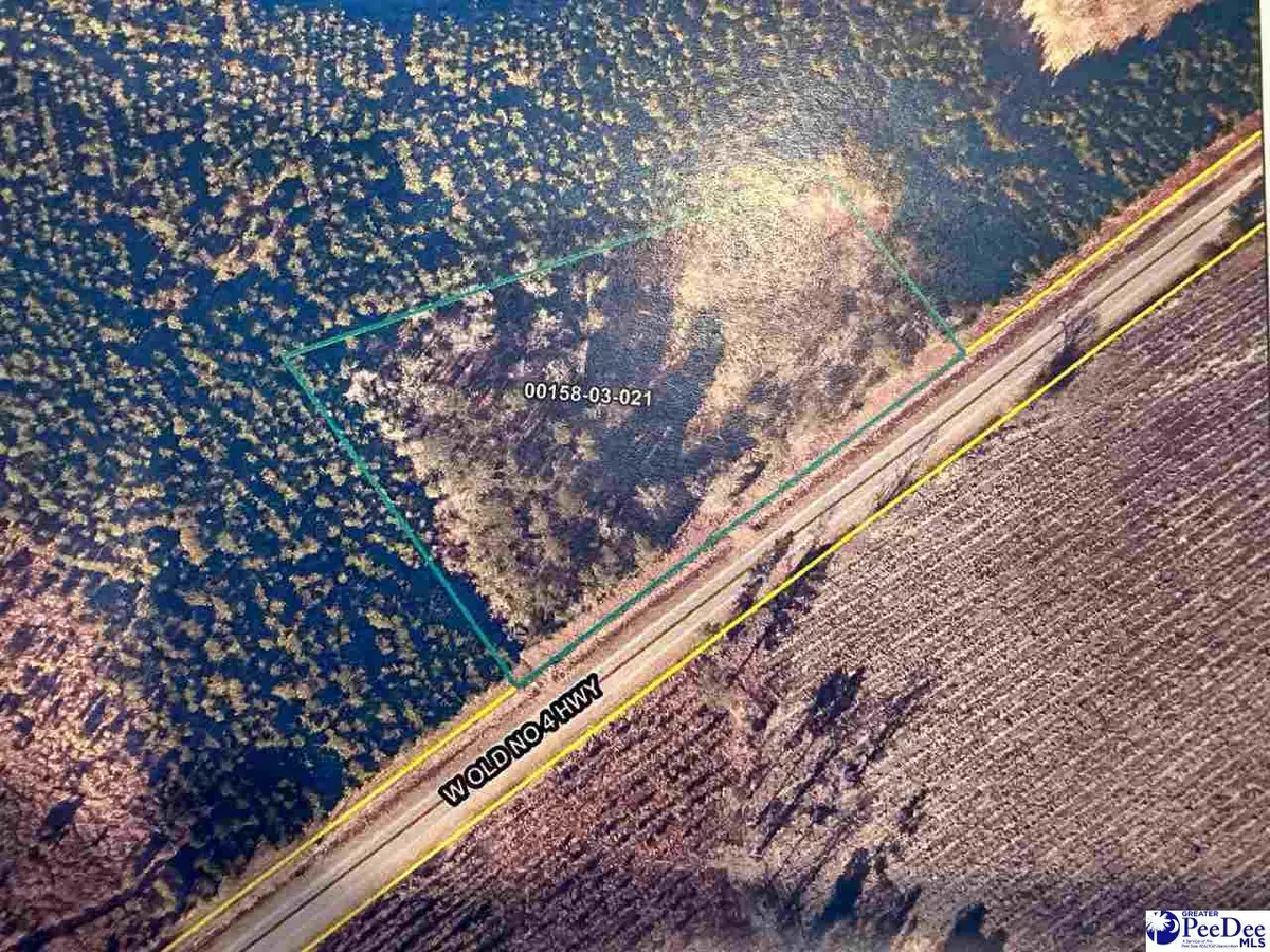 --- Old No 4 Hwy, Coward, SC 29530-0000 - #1