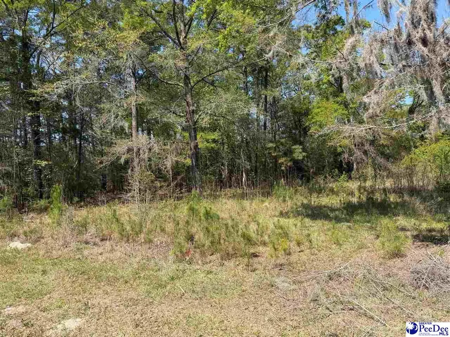 --- Old No 4 Hwy, Coward, SC 29530-0000 - #2