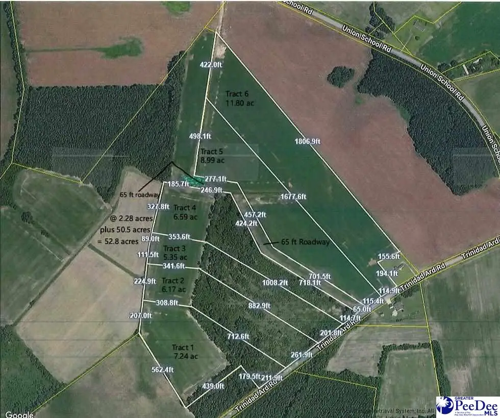 TBD Trinidad Ard Tract 1, Coward, SC 29530-5017 - #1