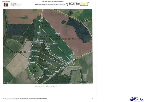 TBD Trinidad Ard Tract 4, Coward, SC 29530-5017