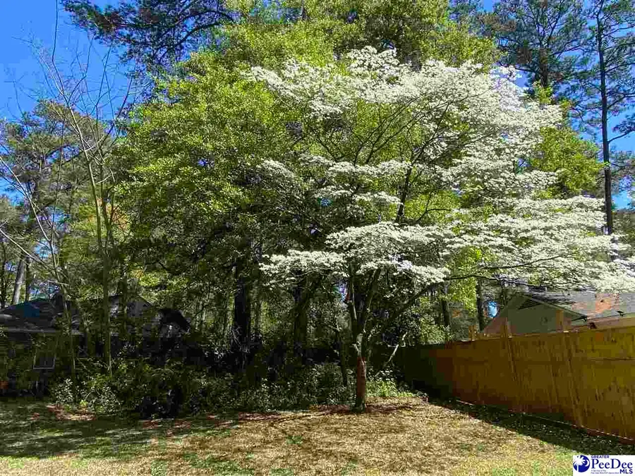 TDB Mimosa Drive, Florence, SC 29501 - #2