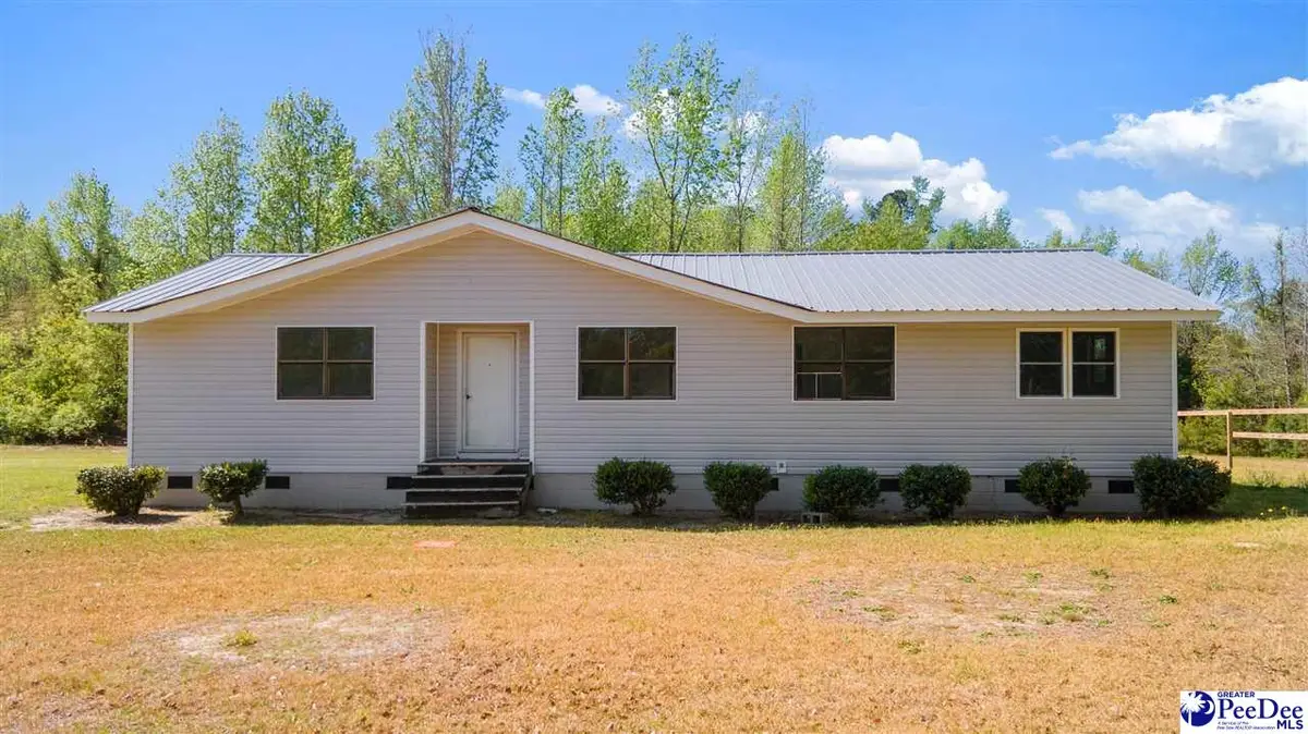 1825 Bluff Road, Marion, SC 29571 - #1