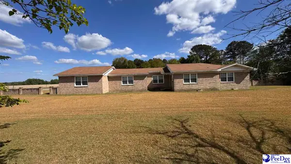 577 Mineral Springs Rd, Darlington, SC 29532-8708