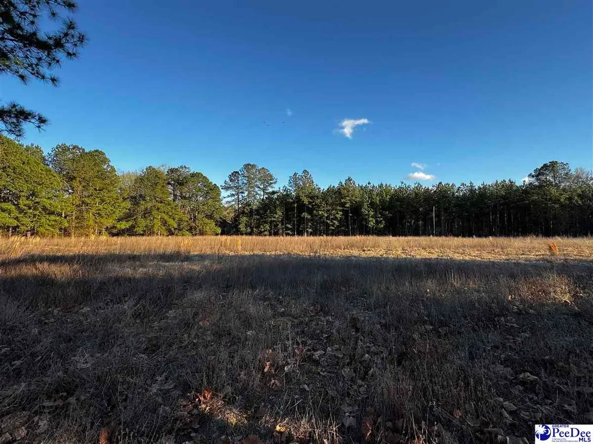 TBD Lexyryan Court - Lots H & I, Latta, SC 29565 - #1