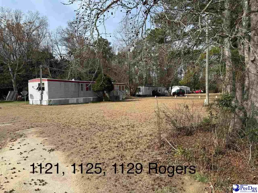 2123 S Fork Dr, Darlington, SC 29532 - #3