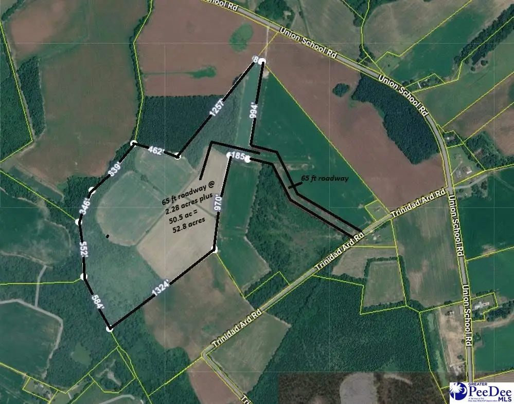 TBD 52.8 Acres Off Union School Rd, Coward, SC 29530-5017 - #1