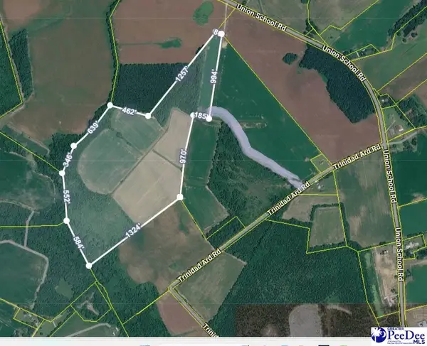 TBD 50.5 Acres Off Union School Rd, Coward, SC 29530-5017