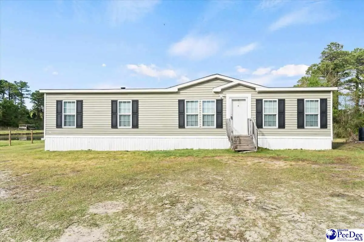 1342 Pee Dee Church Road, Dillon, SC 29536 - #1
