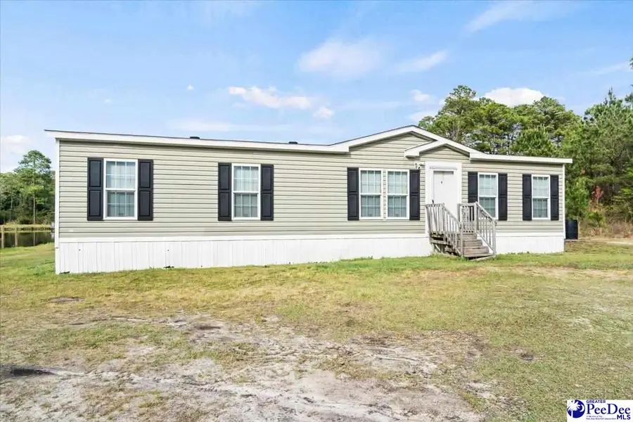 1342 Pee Dee Church Road, Dillon, SC 29536 - #2