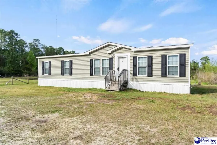 1342 Pee Dee Church Road, Dillon, SC 29536 - #3