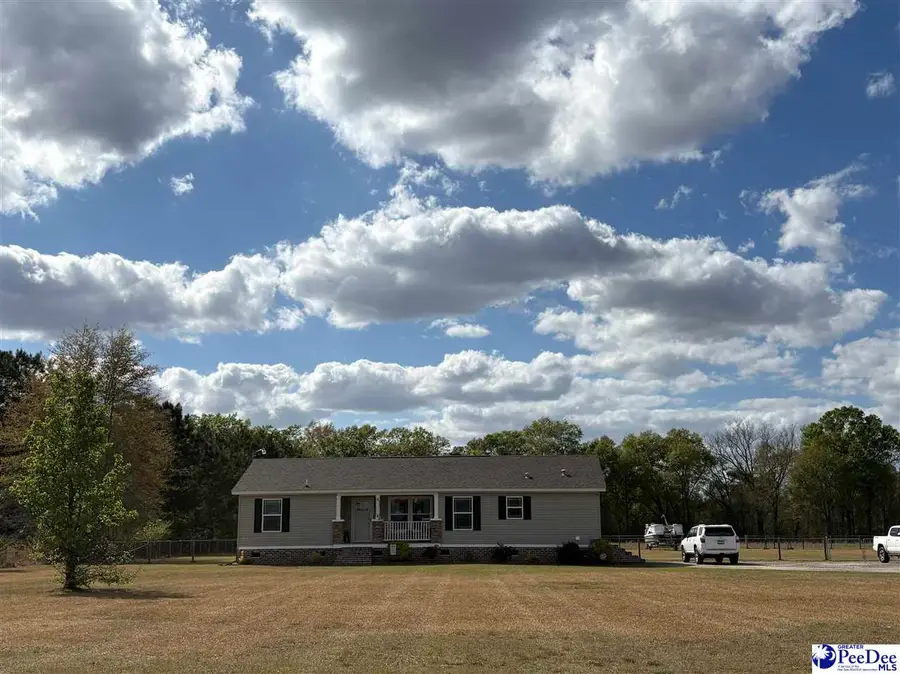 545 Cowpath, Latta, SC 29565 - #2