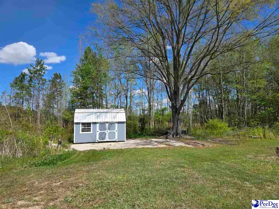 1559 Back Swamp Rd, Lynchburg, SC 29080 - #3