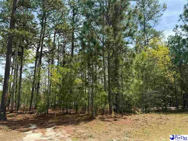 TBD Sandbar Court, Dillon, SC 29536