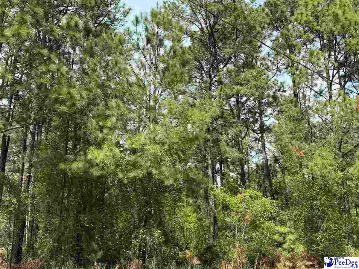 TBD Skylite Drive, Dillon, SC 29536 - #1