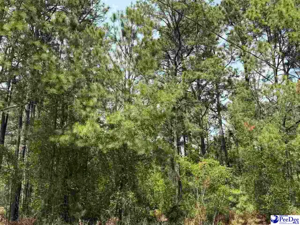 TBD Skylite Drive, Dillon, SC 29536