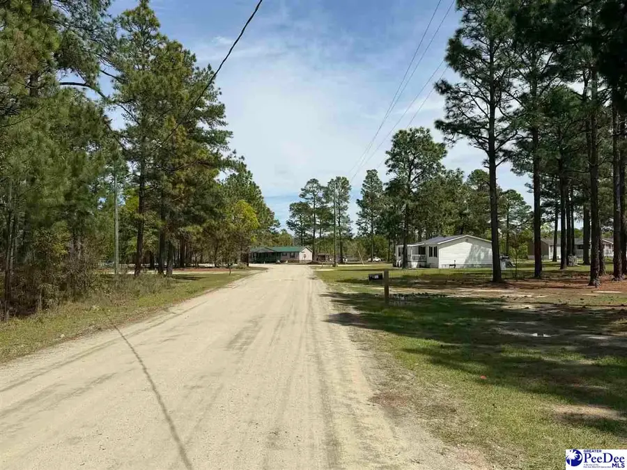 TBD Skylite Drive, Dillon, SC 29536 - #3