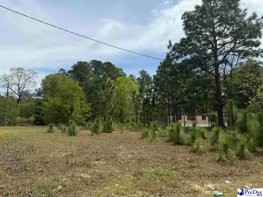 TBD Twilight Drive, Dillon, SC 29536 - #2