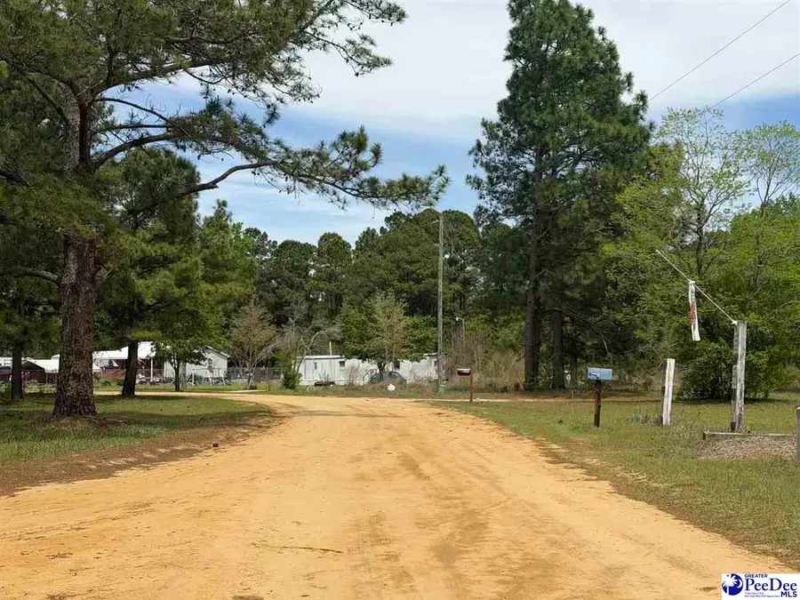 TBD Twilight Drive, Dillon, SC 29536 - #3