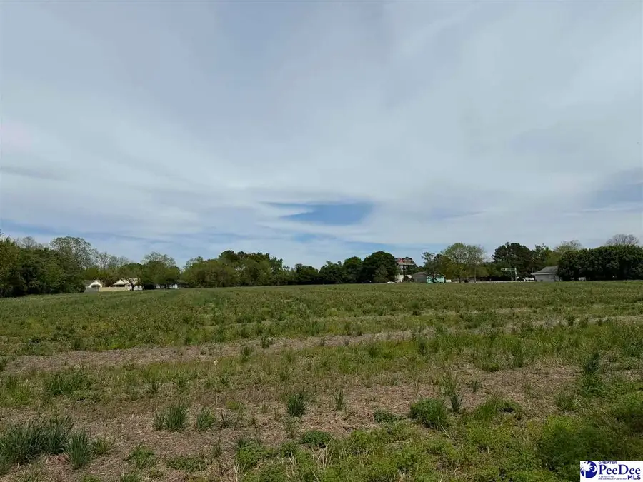 TBD Walnut Street, Dillon, SC 29536 - #2