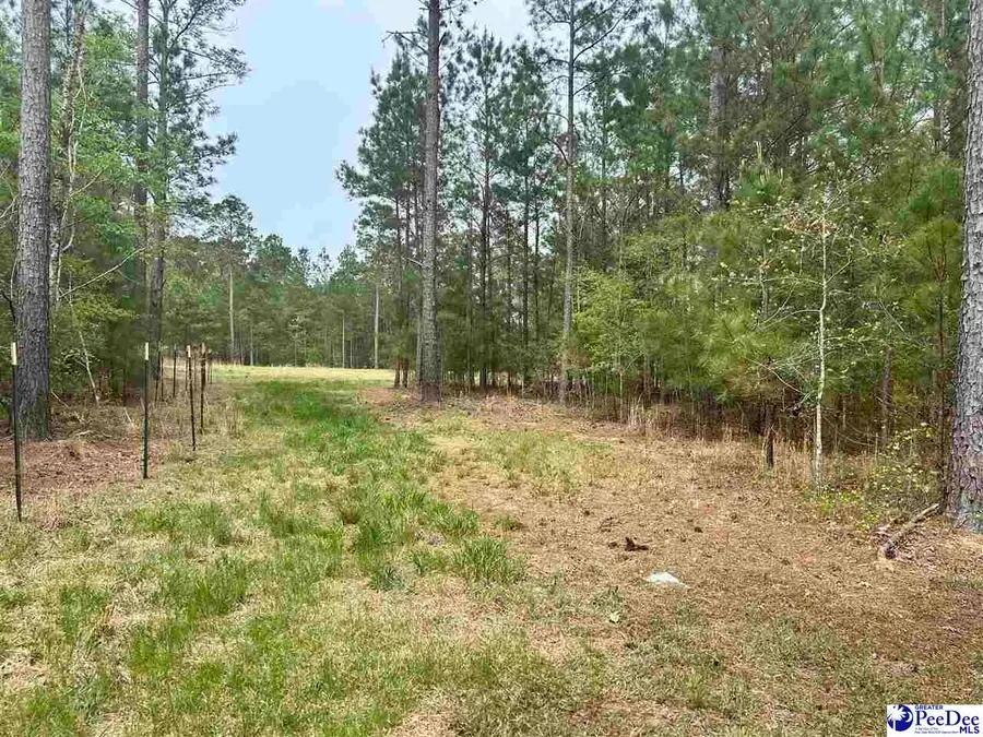 2886C Stephens Rd, Bethune, SC 29009-9626 - #2