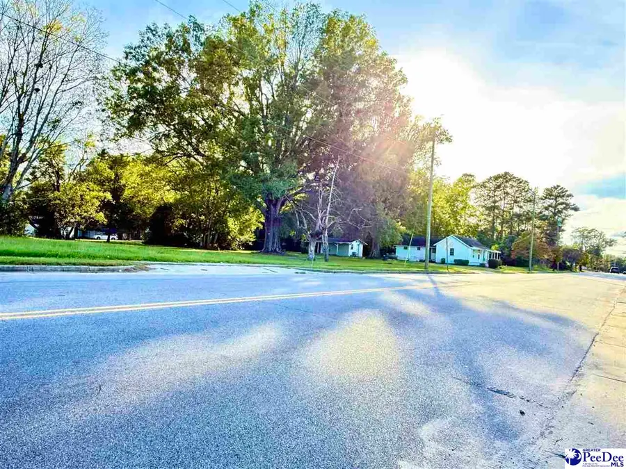 920 E Godbold Street, Marion, SC 29571 - #3