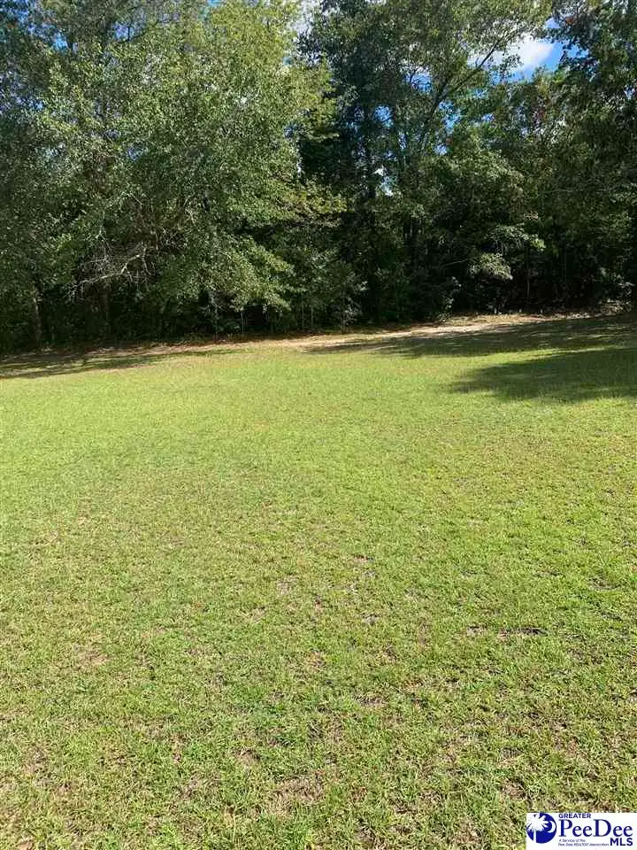 5264 Steen Drive, Florence, SC 29506 - #3