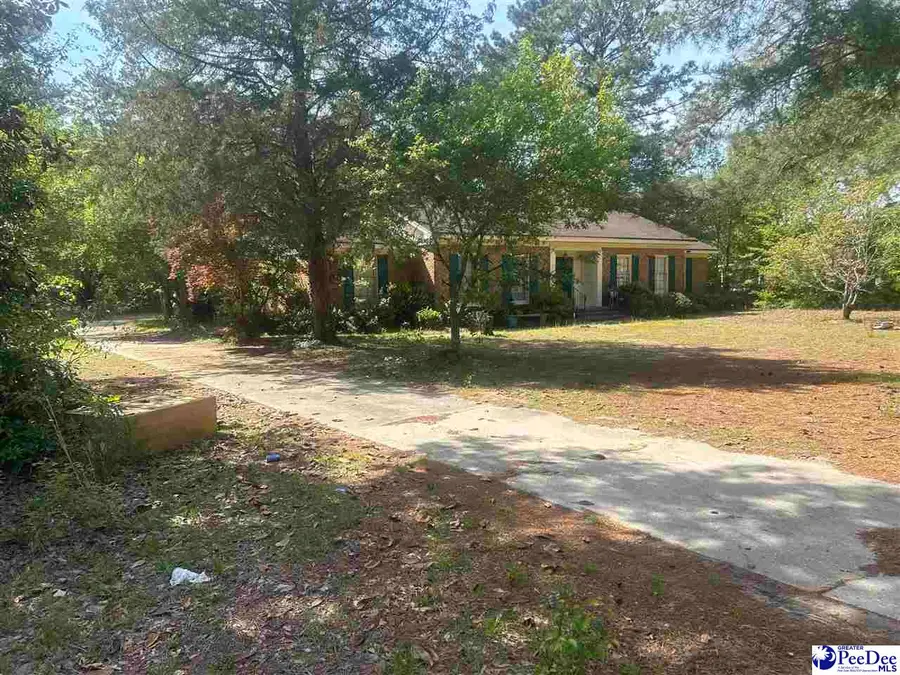 2231 Peniel Road, Timmonsville, SC 29161-8336 - #3