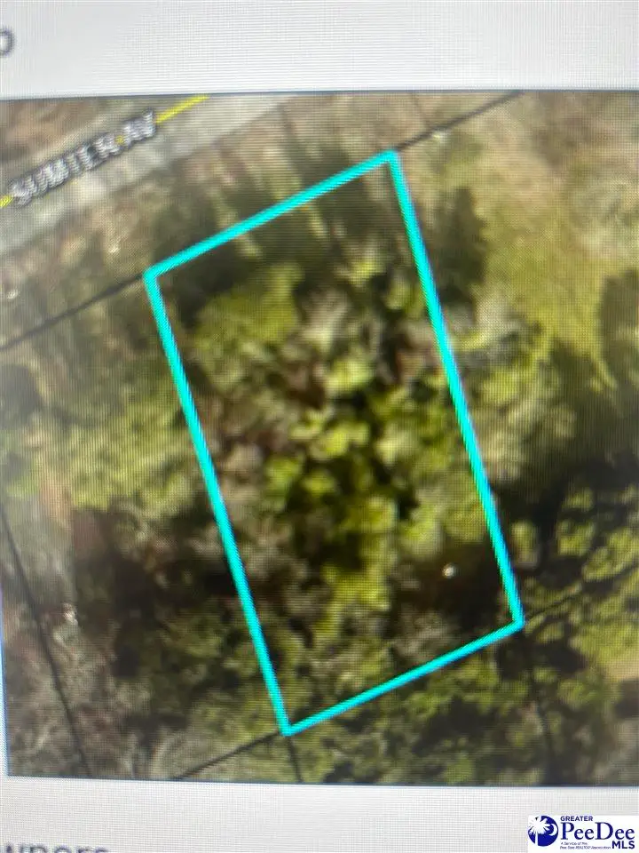 431 Sumter Ave, Hartsville, SC 29550 - #1