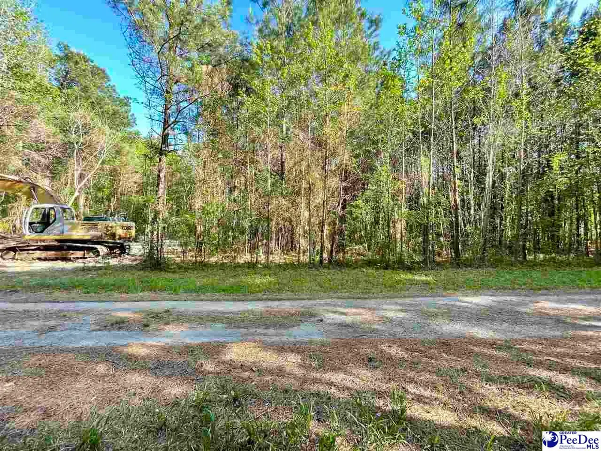 TBD Beth Dr, Conway, SC 29527 - #1