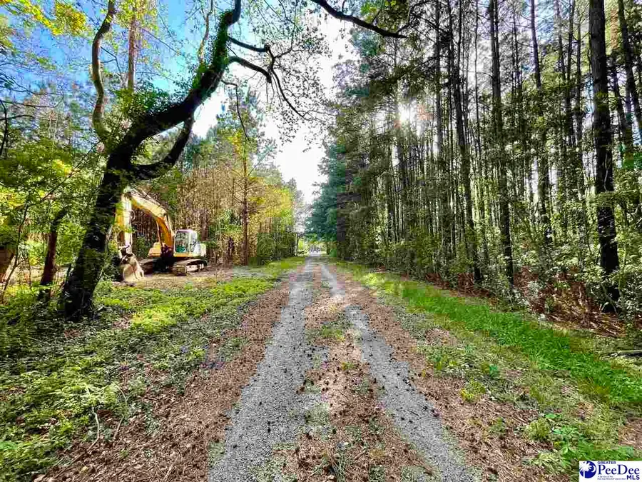 TBD Beth Dr, Conway, SC 29527 - #2