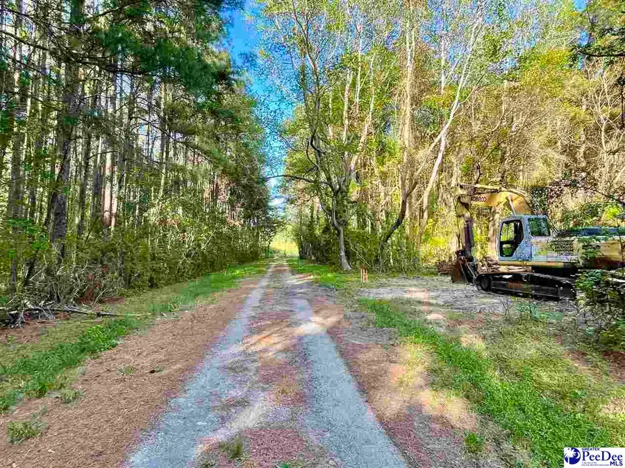TBD Beth Dr, Conway, SC 29527 - #3