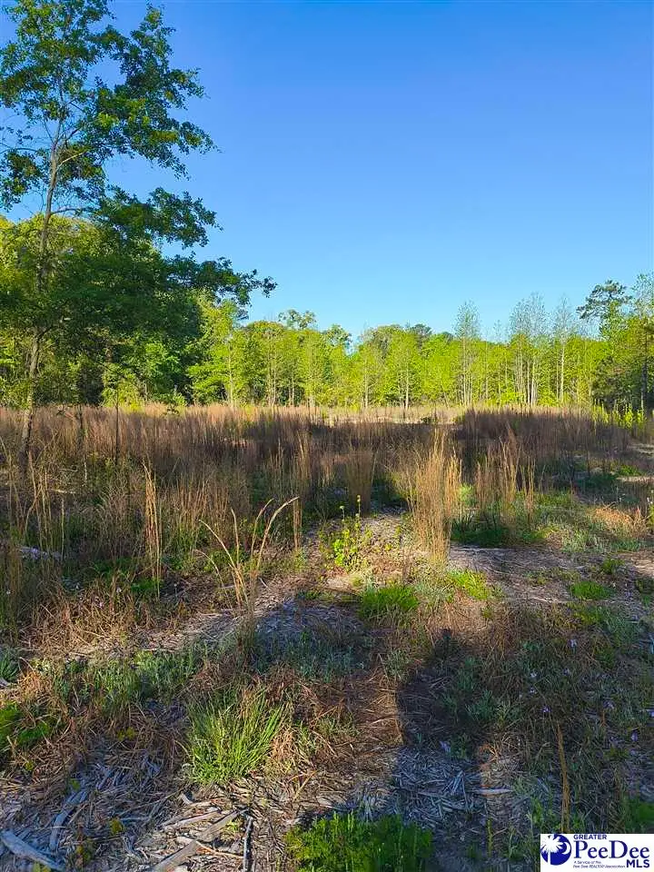 1200 Whippoorwill Rd, Hartsville, SC 29550 - #1