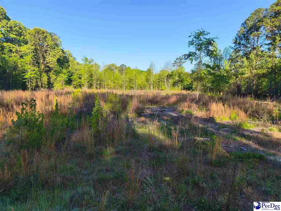 1200 Whippoorwill Rd, Hartsville, SC 29550 - #2