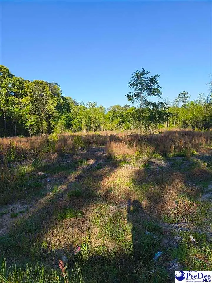 1200 Whippoorwill Rd, Hartsville, SC 29550 - #3