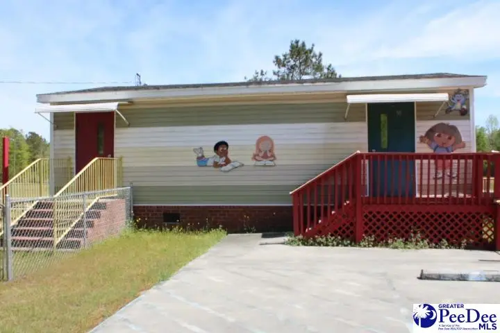 50 Diamond Loop Rd, Kingstree, SC 29556 - #2