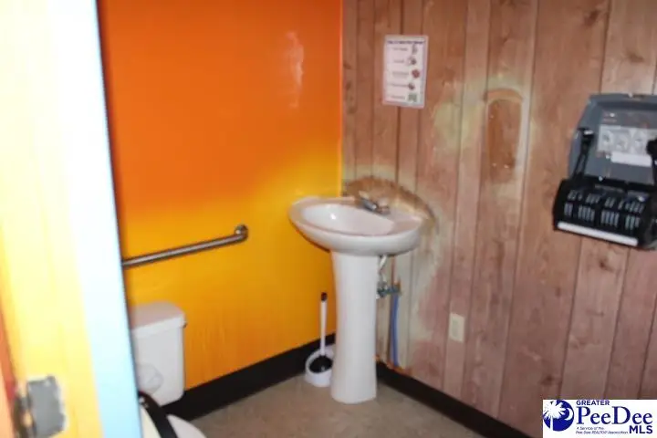 50 Diamond Loop Rd, Kingstree, SC 29556 - #3