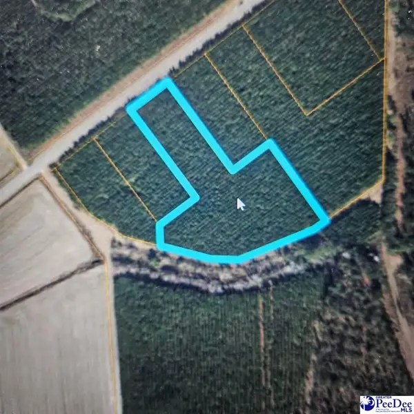 TBD Hwy 45, Loris, SC 29569
