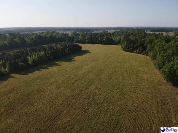 TBD Tobacco Land Road, Dillon, SC 29536