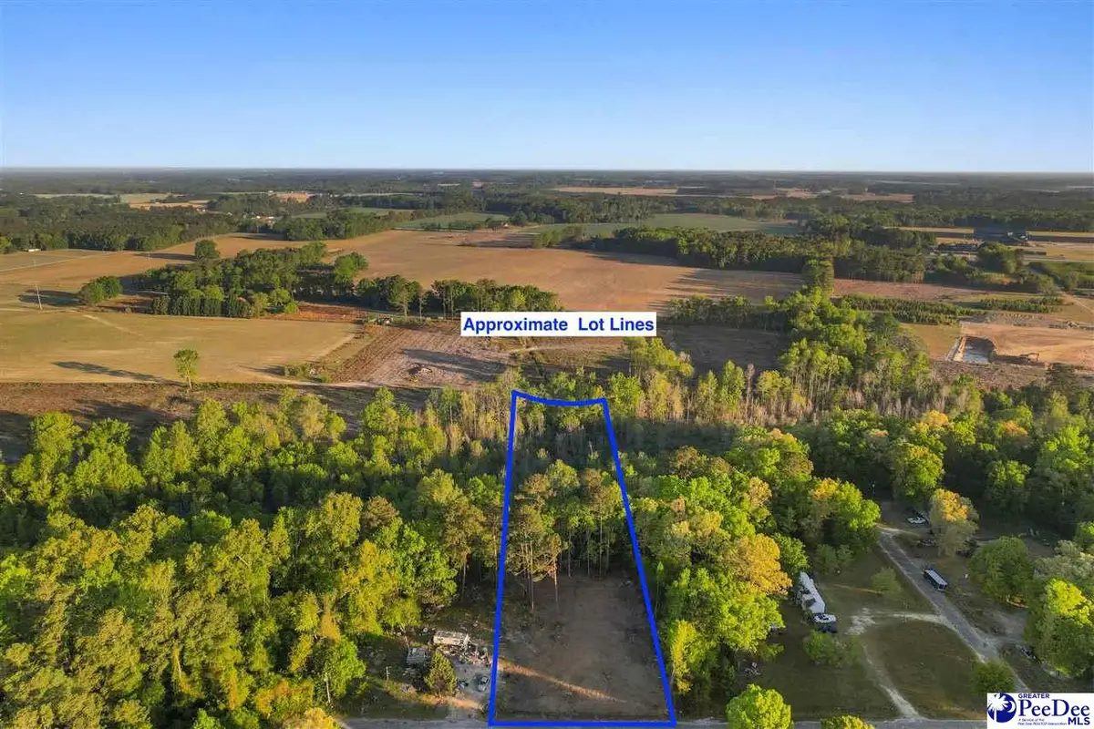 Lot 29 Bronco Road, Darlington, SC 29532 - #1