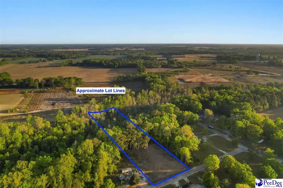 Lot 29 Bronco Road, Darlington, SC 29532 - #3