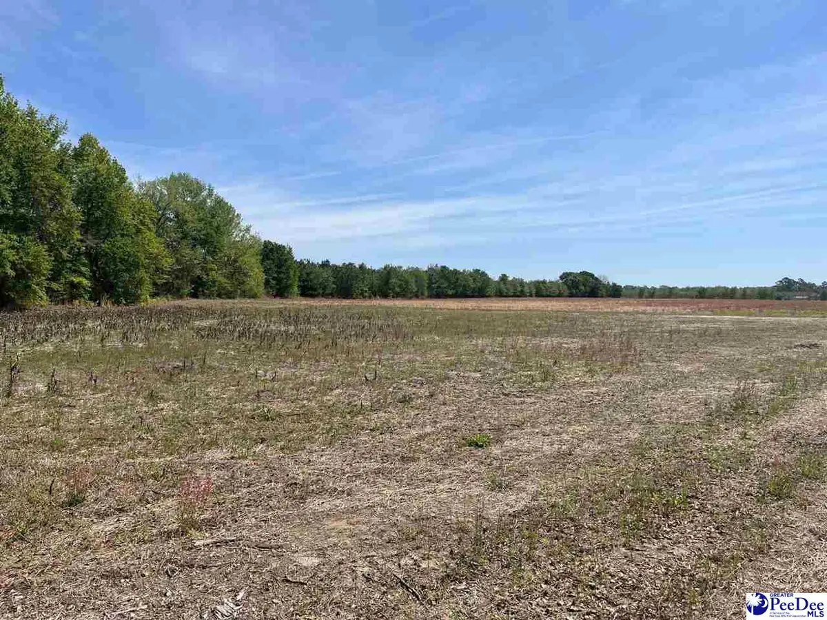 MTA 2 Judson Rd, Dillon, SC 29567 - #1