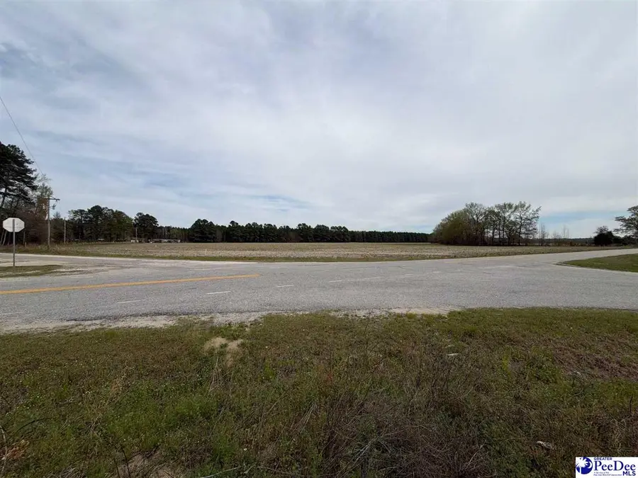 MTA 3 Judson Rd, Dillon, SC 29567 - #2