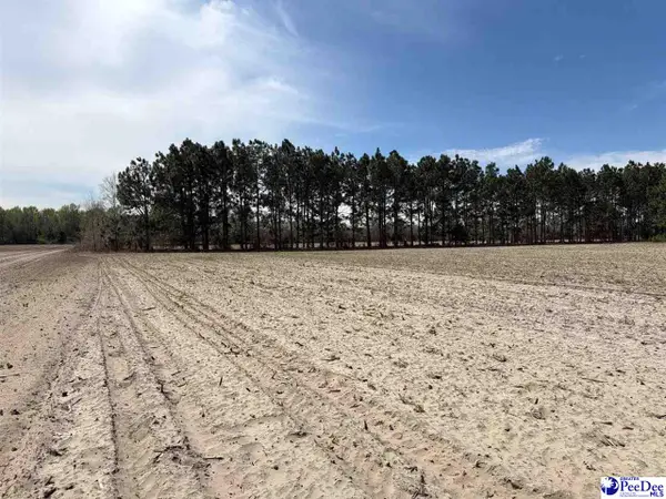 MTA 5 Heustess Rd, Dillion, SC 29567