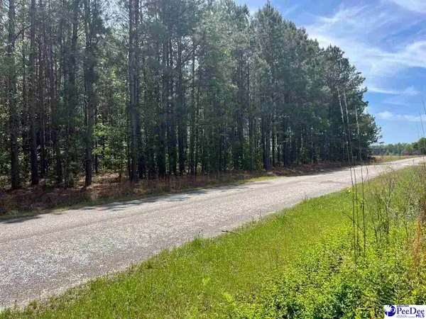 MTA 6 Heustess Rd, Dillion, SC 29567