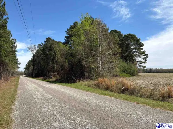 MTA 10 Heustess Rd, Dillion, SC 29567