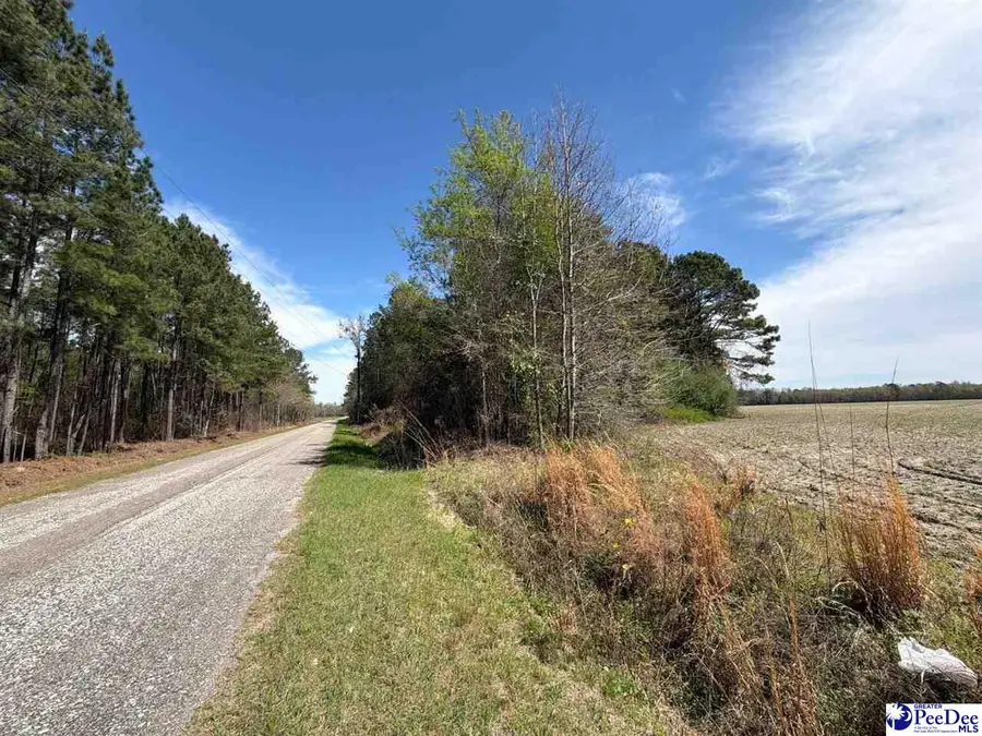 MTA 10 Heustess Rd, Dillon, SC 29567 - #2