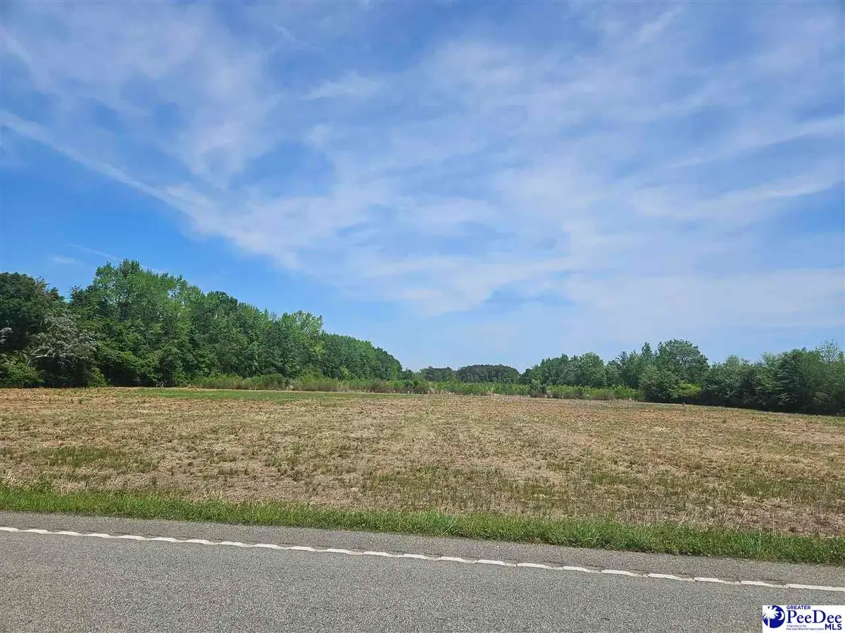 114 Fairfield Rd, Dillon, SC 29536 - #1
